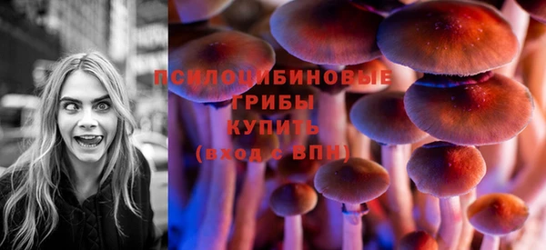 мдпв Снежинск