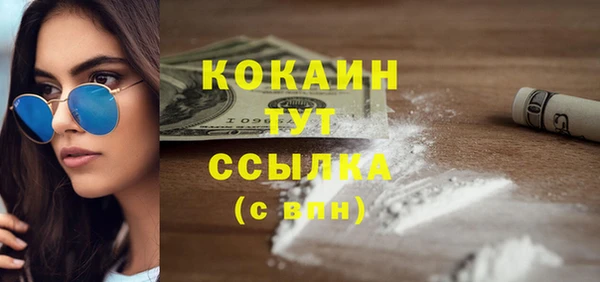 твердый Богородицк