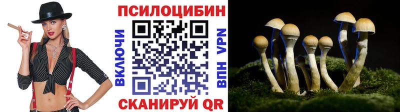 Псилоцибиновые грибы ЛСД  купить   Волхов 